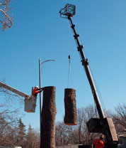 Portfolio image 10